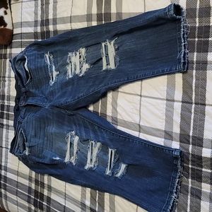 Judy Blue Plus Size 16W Skinny fit Capri Jeans